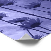 Sky Gazers Poster (Hoek)