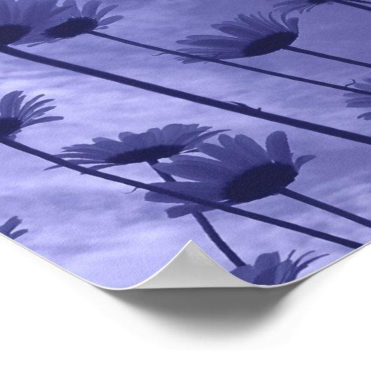 Sky Gazers Poster (Hoek)