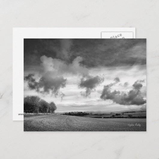 Sky Lambs, Wiltshire briefkaart (Voorkant / Achterkant)