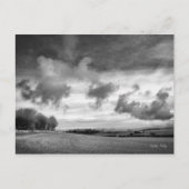 Sky Lambs, Wiltshire briefkaart (Voorkant)