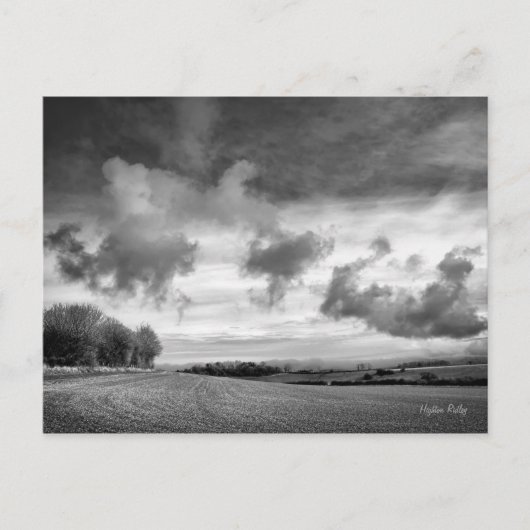 Sky Lambs, Wiltshire briefkaart (Voorkant)