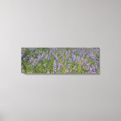 Sky Lupines Canvas Afdruk (Voorkant)