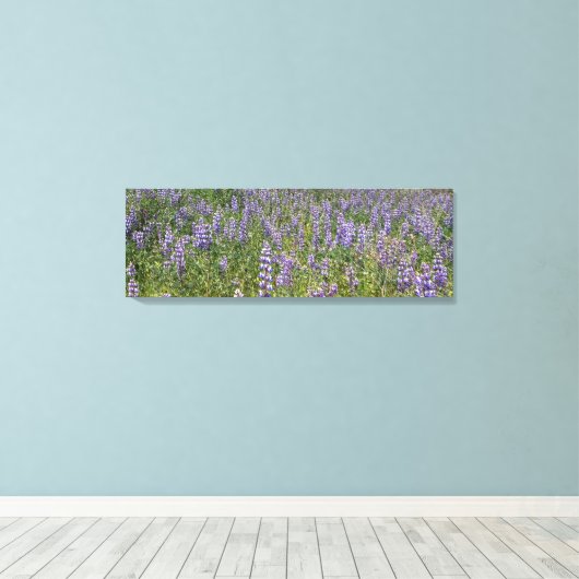 Sky Lupines Canvas Afdruk (Insitu (Houten vloer))