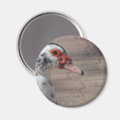 Sky Magneet (Voorkant / Achterkant)