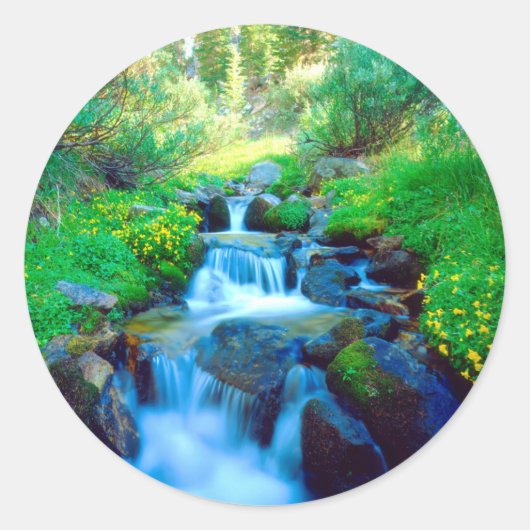 Sky Meadows in het Sierra Nevada gebergte Ronde Sticker (Voorkant)