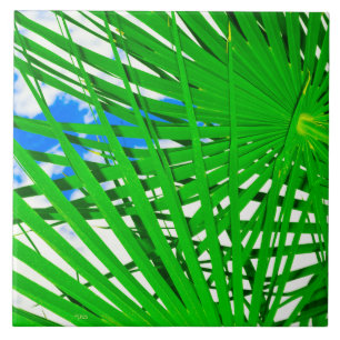 Sky Palm Ceramic Tile Tegeltje
