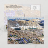Sky Pilot Flowers, Mt. Whitney, Californië Briefkaart (Voorkant / Achterkant)