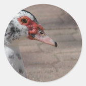 Sky Ronde Sticker (Voorkant)