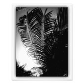 Sky Scrapers Foto Afdruk (Voorkant)