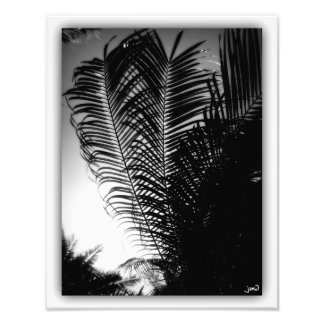 Sky Scrapers Foto Afdruk