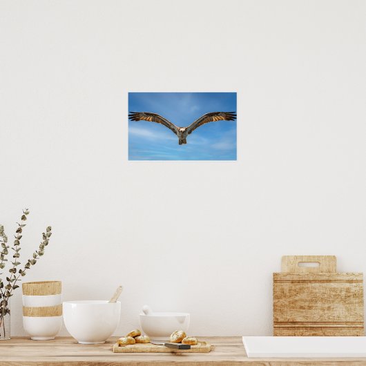Sky Sovereign: Osprey in Flight Poster (Keuken)