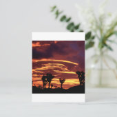 Sky Sunset Joshua Tree California Briefkaart (Staand voorkant)