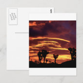 Sky Sunset Joshua Tree California Briefkaart (Voorkant / Achterkant)