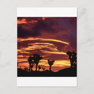 Sky Sunset Joshua Tree California Briefkaart