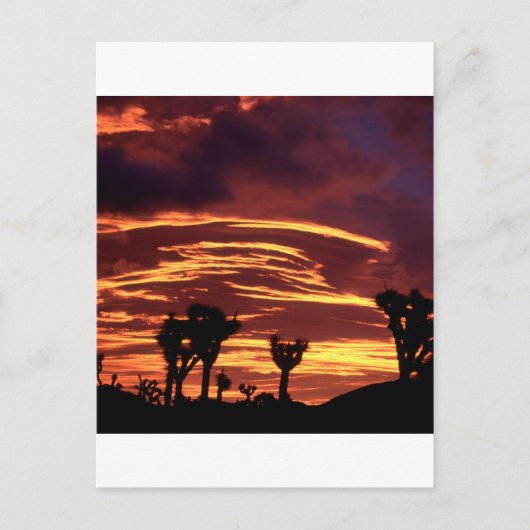 Sky Sunset Joshua Tree California Briefkaart (Voorkant)