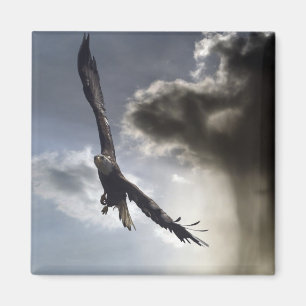 "Sky Warrior" Bald Eagle Gifts Magneet