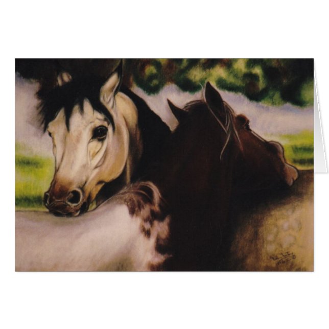 "Skyball and Dandy" paardenkaart (Voorkant Horizontaal)