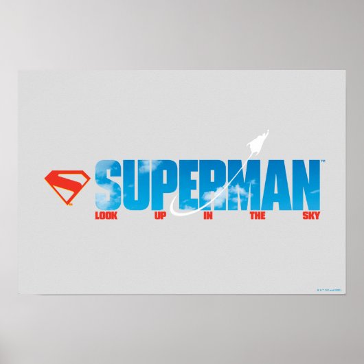 Skybound Superman Silhouette Poster (Voorkant)