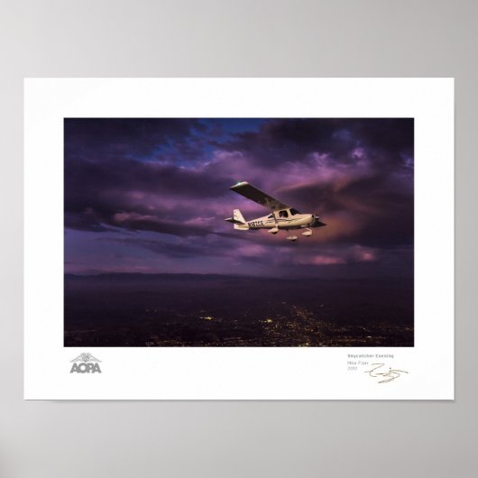 Skycatcher Evening Gallery Poster (Voorkant)