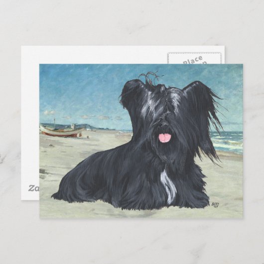 Skye Terrier bij het strand Briefkaart (Voorkant / Achterkant)