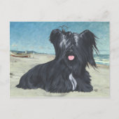 Skye Terrier bij het strand Briefkaart (Voorkant)