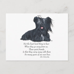 Skye Terrier Herinnering Briefkaart
