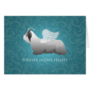 Skye Terrier Hondenras Angel Sympathcard