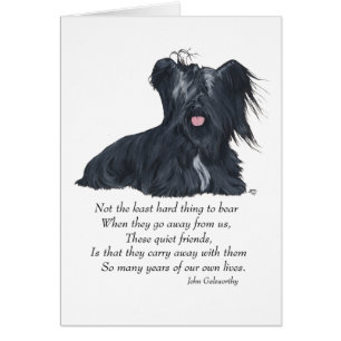 Skye Terrier Memory
