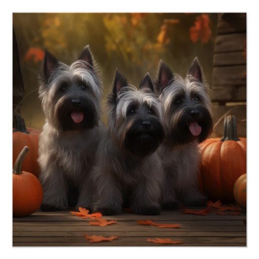 Skye Terrier Pup Autumn Delight Pumpkin Perfect Poster (Voorkant)