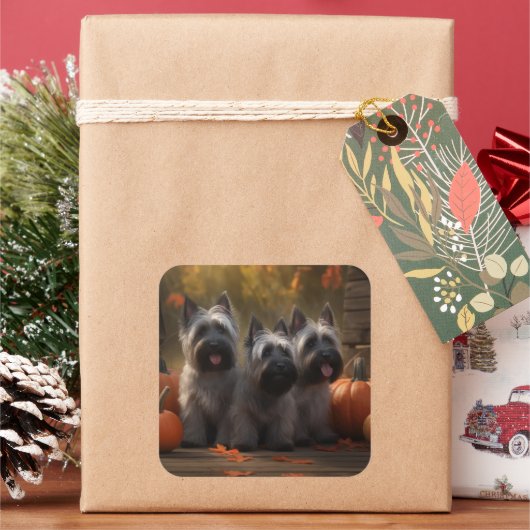 Skye Terrier Puppy Herfst Delight Pompoen Vierkante Sticker (Feestdagen)