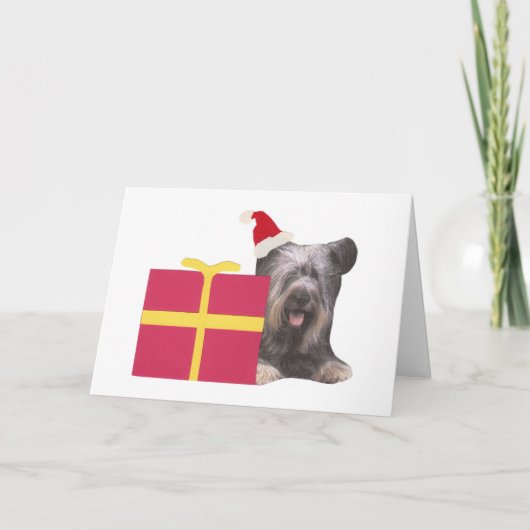 Skye Terrier Santa Hat Feestdagen Kaart (Voorkant)