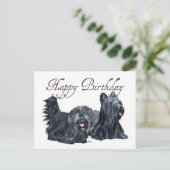 Skye Terrier Verjaardagskaarten Briefkaart (Staand voorkant)