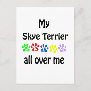 Skye Terrier wandelingen ontwerp Briefkaart
