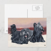 Skye Terriers lopen op Sunset Briefkaart (Voorkant / Achterkant)