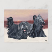 Skye Terriers lopen op Sunset Briefkaart (Voorkant)