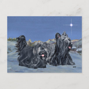 SKYE Terriers op een winteravond Briefkaart