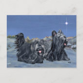 SKYE Terriers op een winteravond Briefkaart (Voorkant)