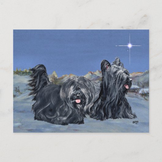 SKYE Terriers op een winteravond Briefkaart (Voorkant)