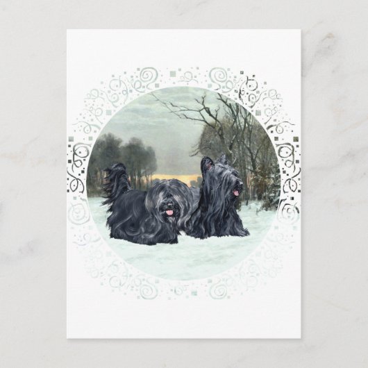 Skye Terriërs Sneeuwwitte Zonsondergang Briefkaart (Voorkant)