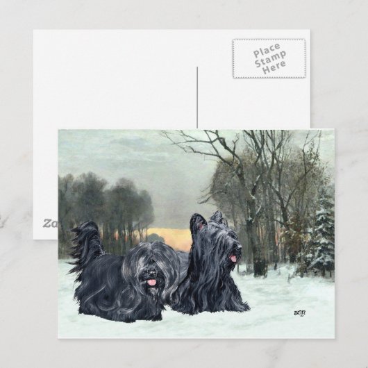 Skye Terriers Snowy Sunset Briefkaart (Voorkant / Achterkant)