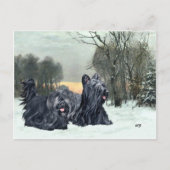 Skye Terriers Snowy Sunset Briefkaart (Voorkant)