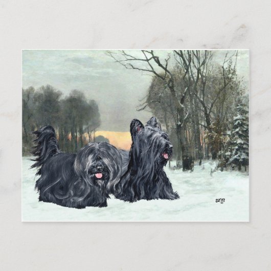 Skye Terriers Snowy Sunset Briefkaart (Voorkant)