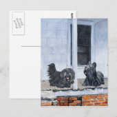 Skye Terriërs wachten op de veranda Briefkaart (Voorkant / Achterkant)
