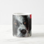 Skye the Border Collie Koffiemok (Center)