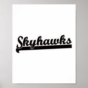 Skyhawks Lacrosse Volleybal Skydiving Basketbal Poster