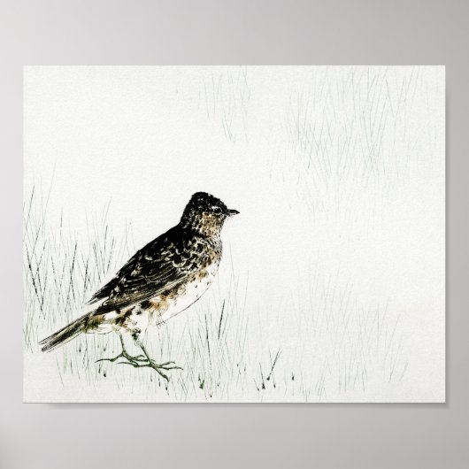 Skylark Bird, Watanabe Seitei Poster (Voorkant)