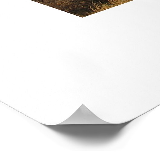 Skyline Drive Poster (Hoek)