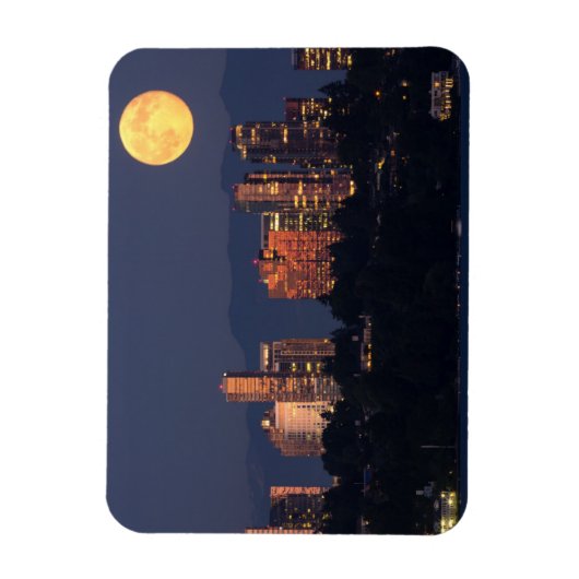 Skyline van Bellevue uit het meer van Washington i Magneet (Verticaal)