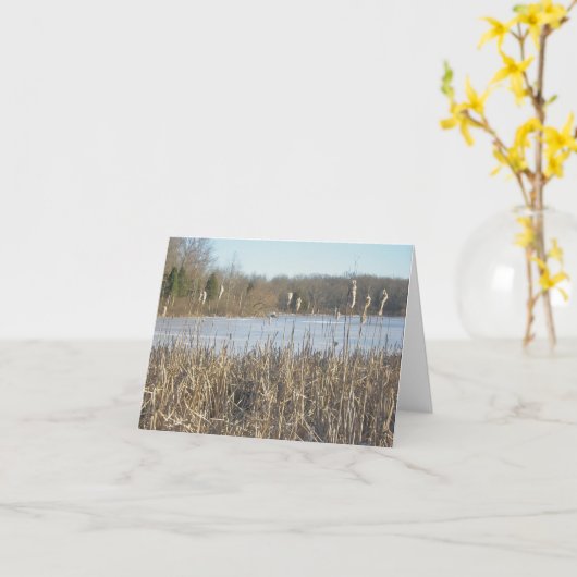 Skymount Pond in Ice Note Kaart (Gele Bloem)