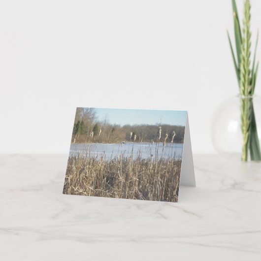 Skymount Pond in Ice Note Kaart (Voorkant)